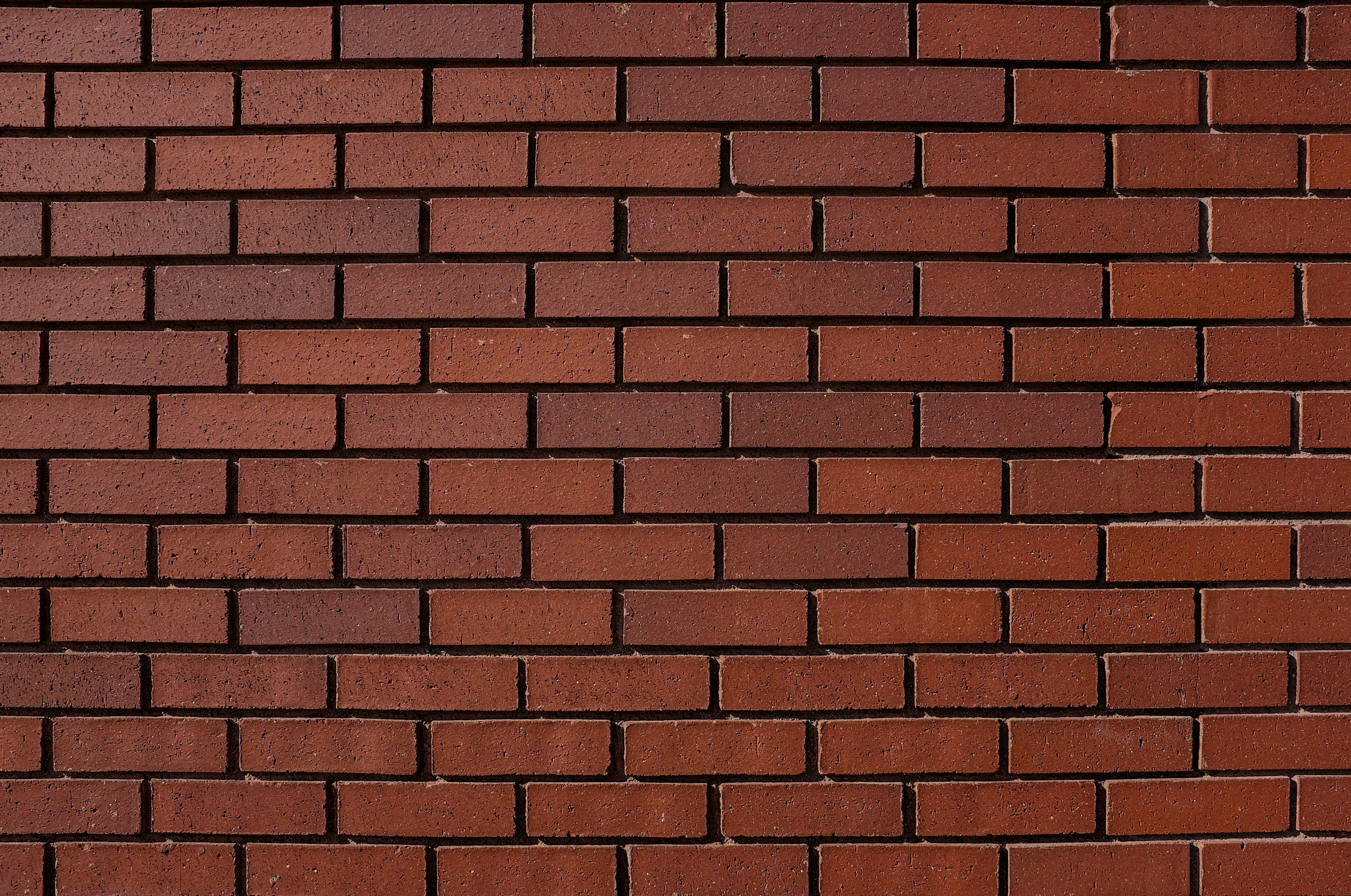 Terracota medium